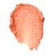 Lip Color