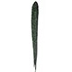 Long-Wear Liquid Liner